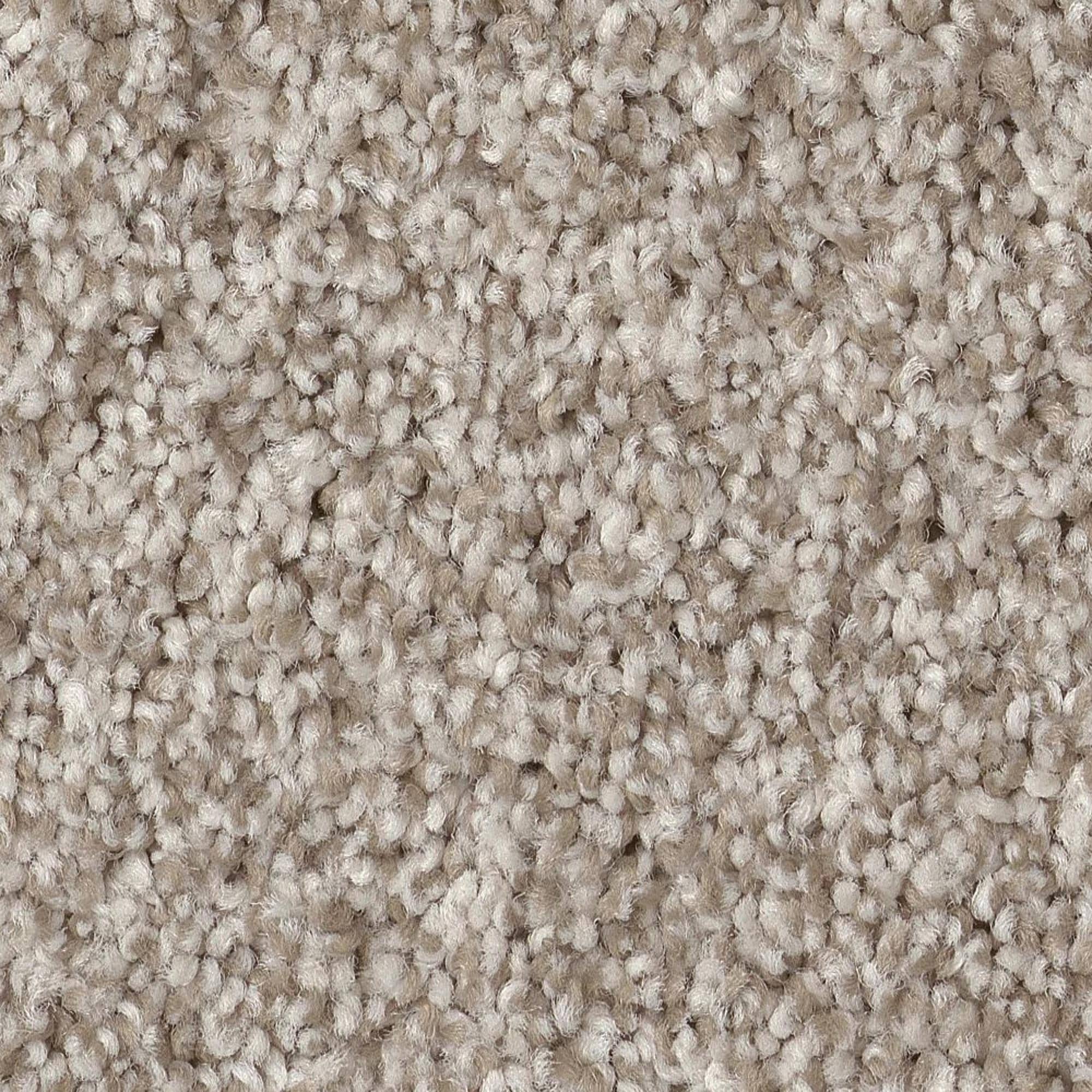 Anderson Tuftex Bossa Nova Carpet in Misty Dawn