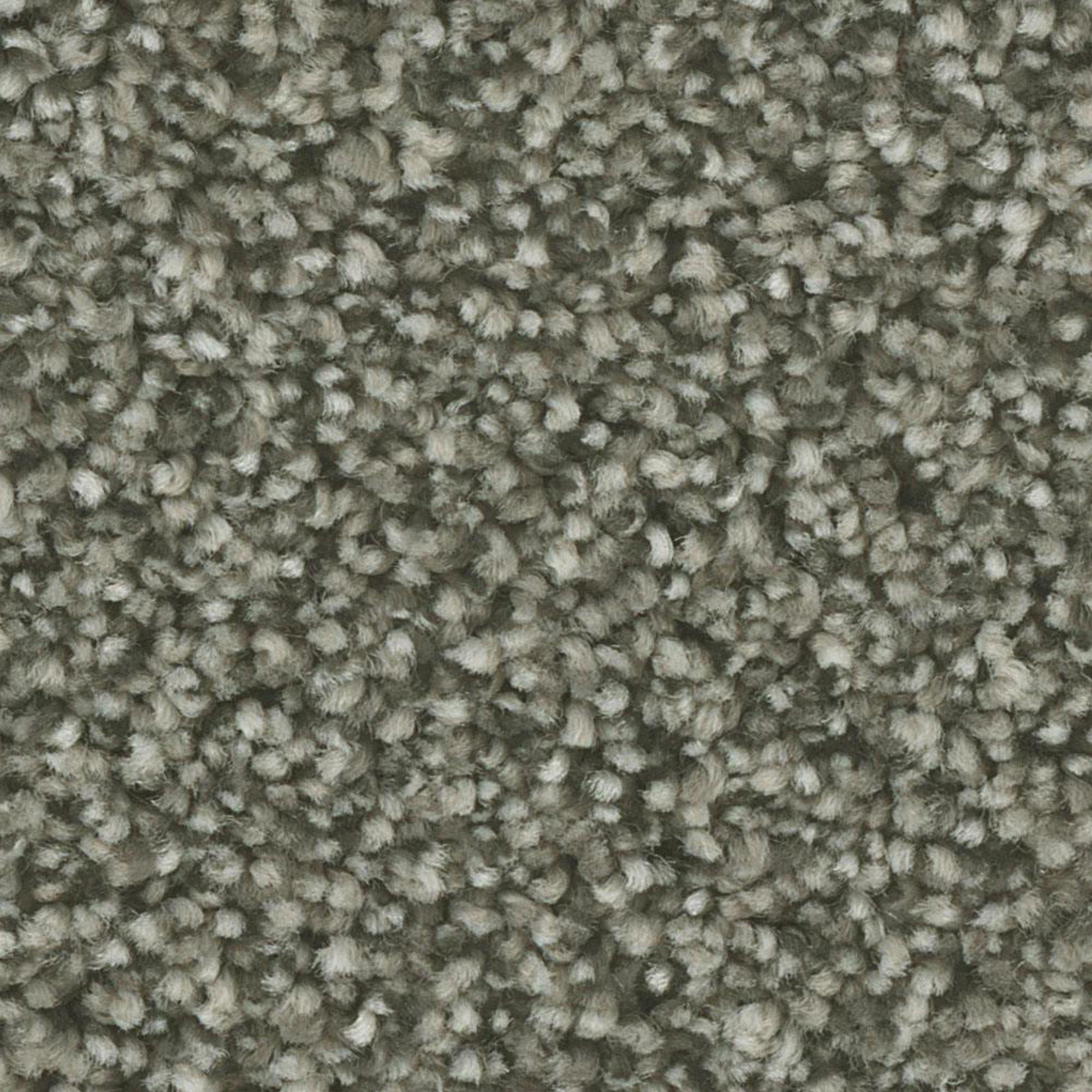 Phenix Radiant Silver Carpet in Luster
