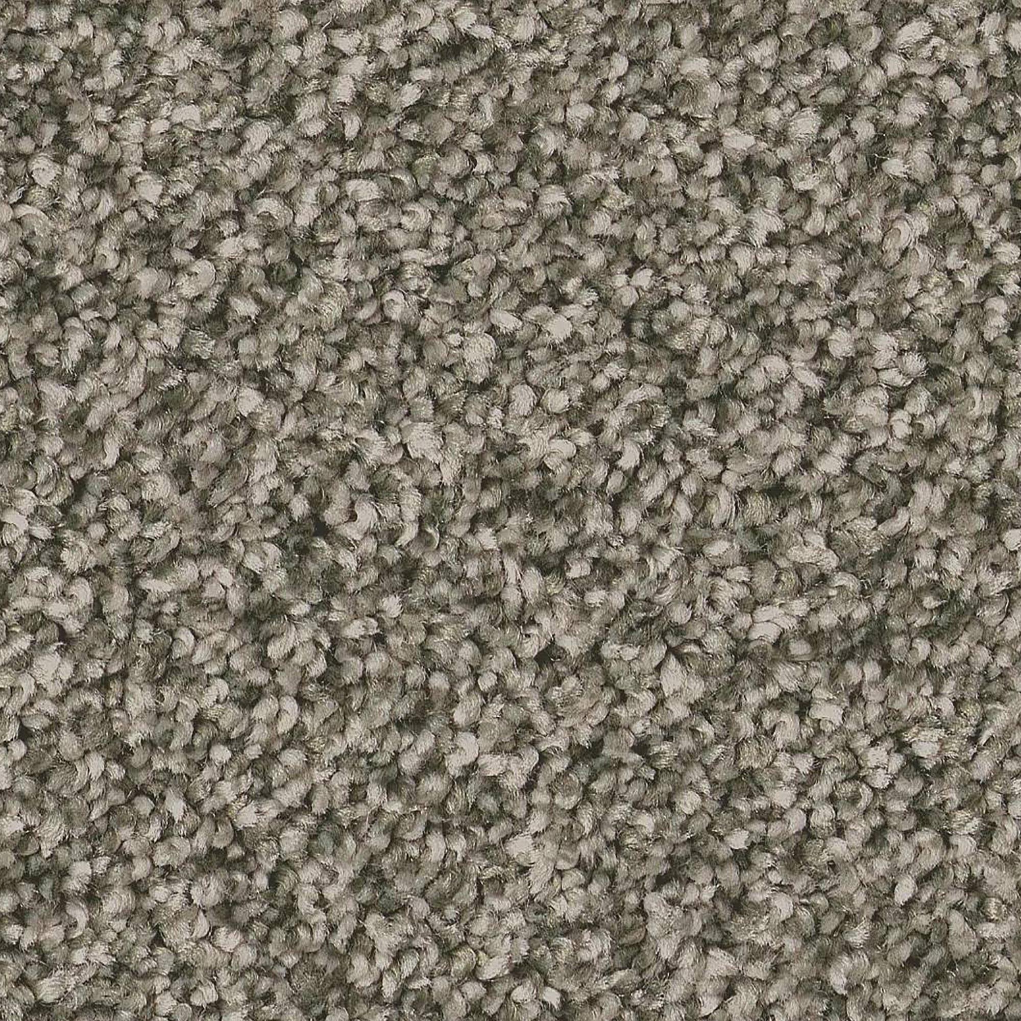 Anderson Tuftex Kaleidoscope Carpet in Cool Dill NFM