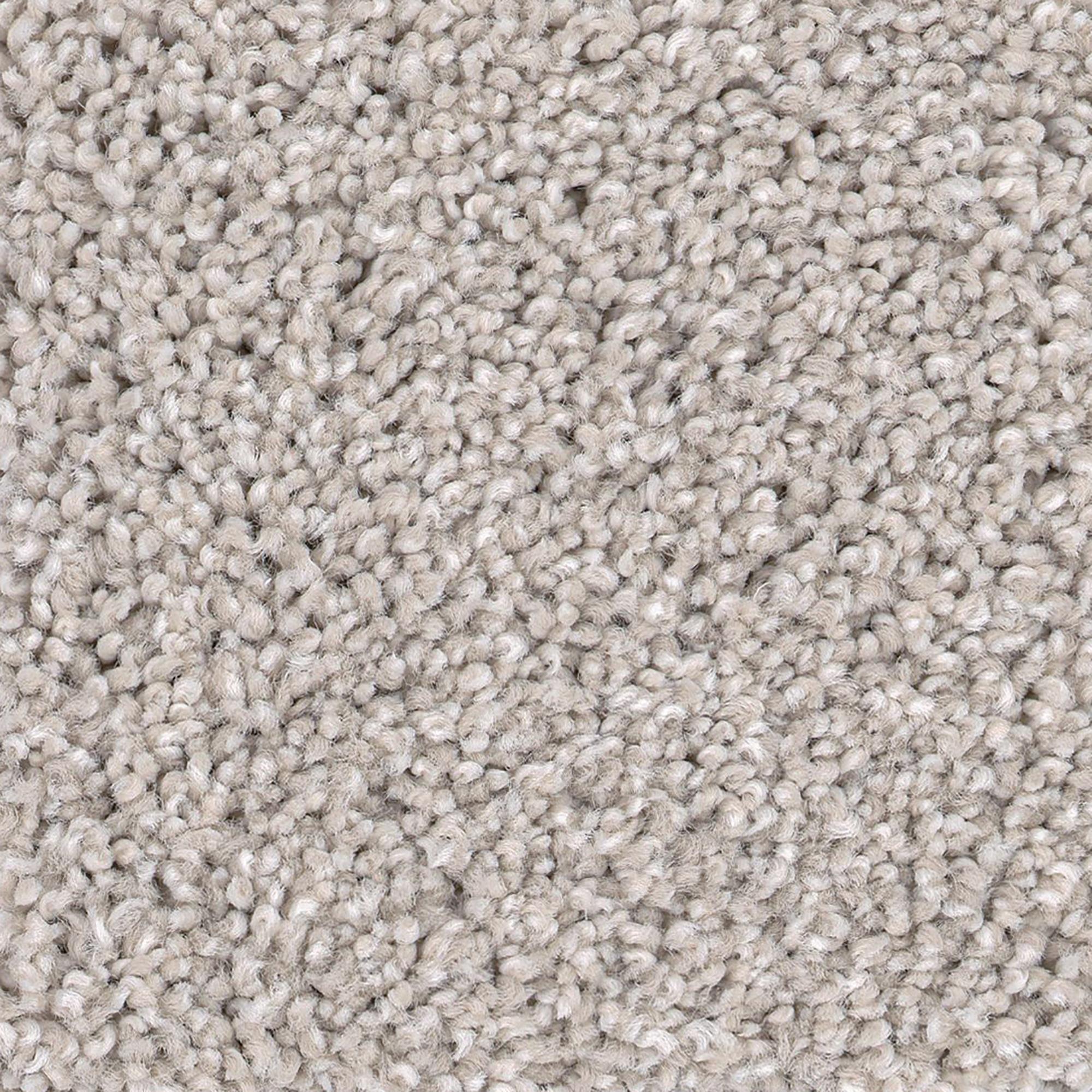 Anderson Tuftex Caress Cozy Harbor I Carpet in Sandstone