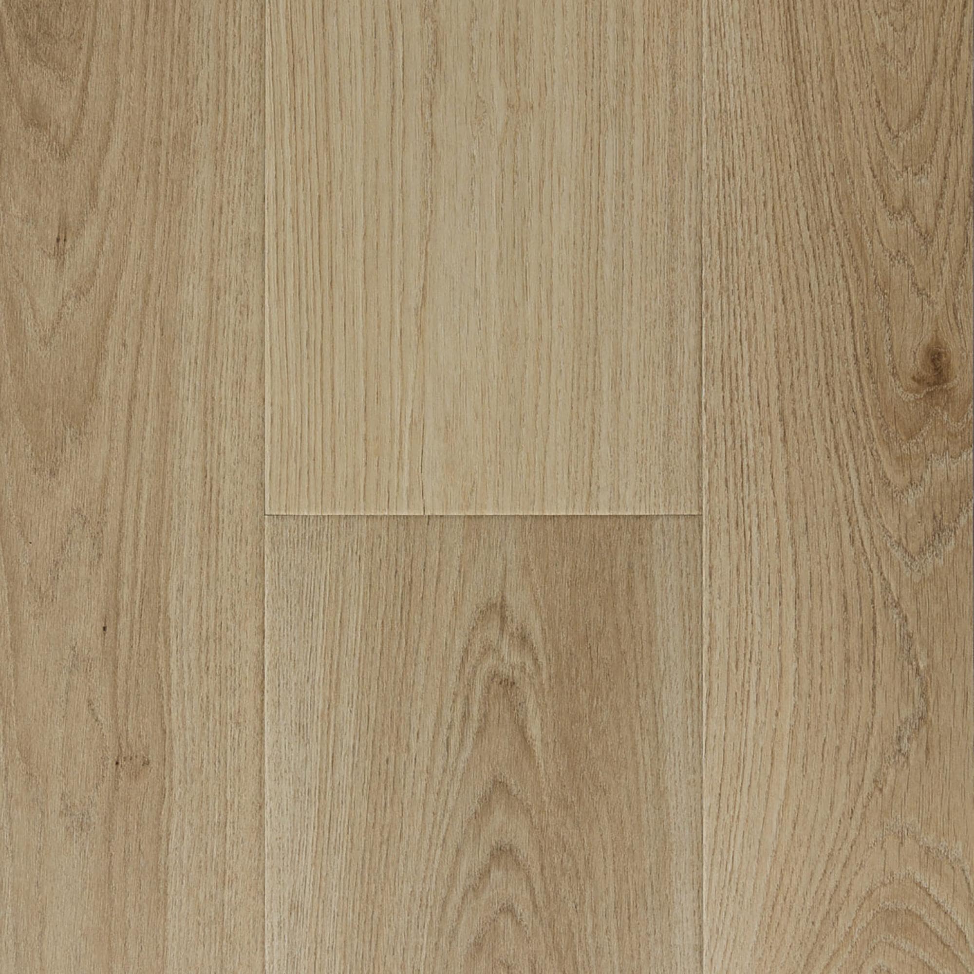 Provenza Modessa Grandstand 9.4