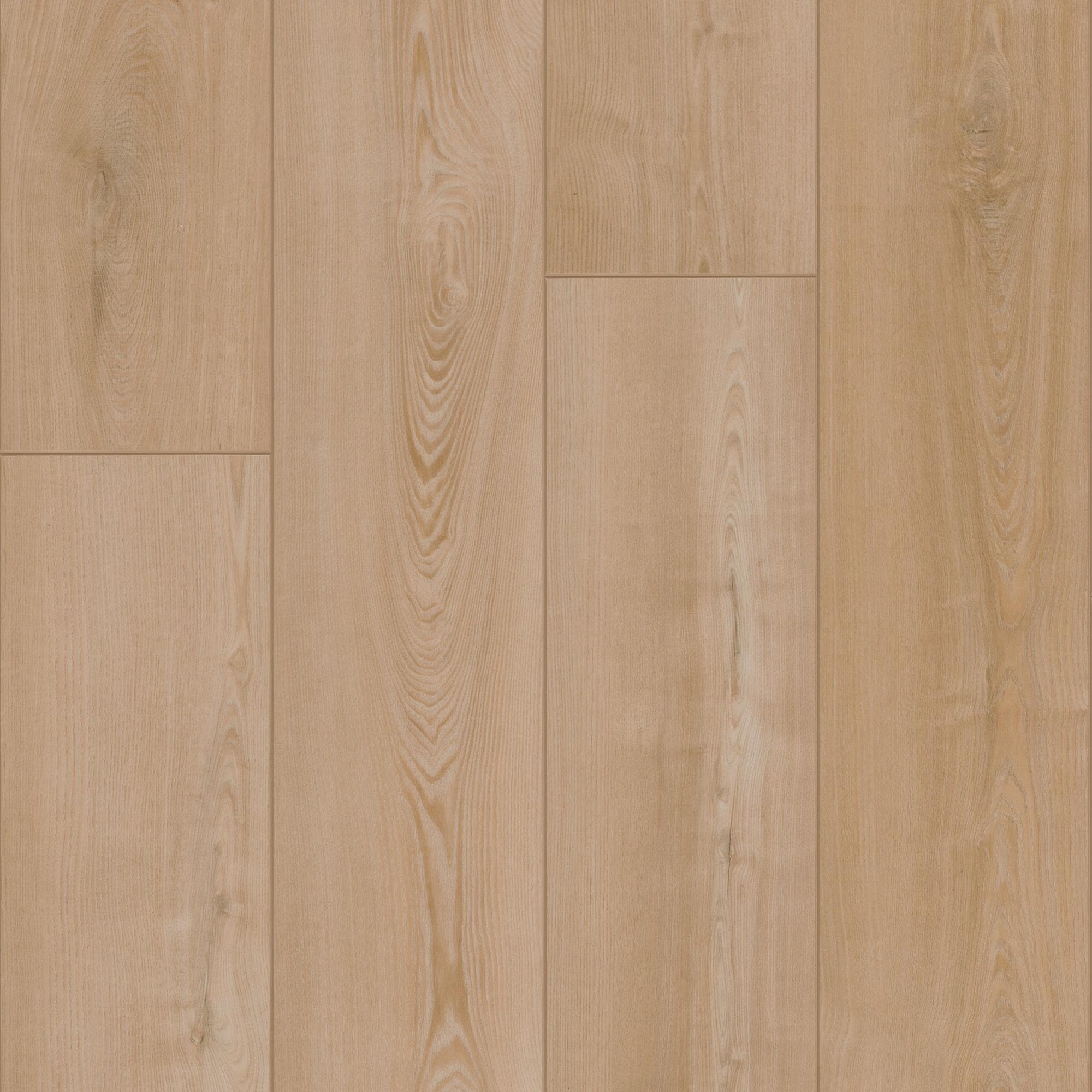 ポキプシー　樂 Shaw Pet Perfect Antique Chestnut 9