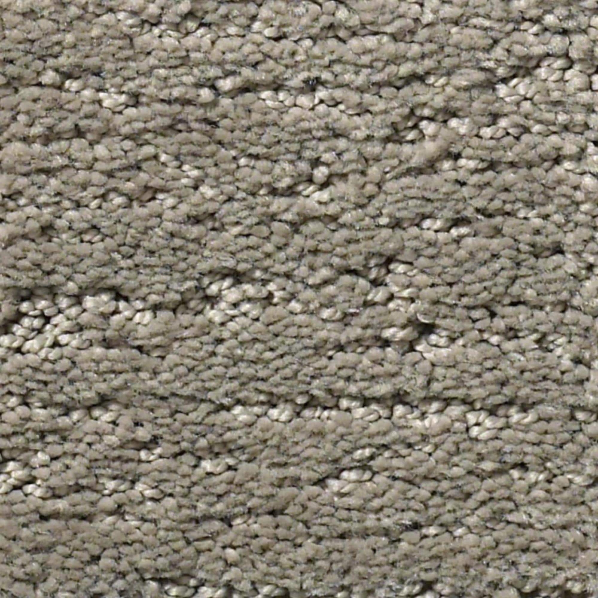 Anderson Tuftex Artistry Carpet in Intrigue NFM