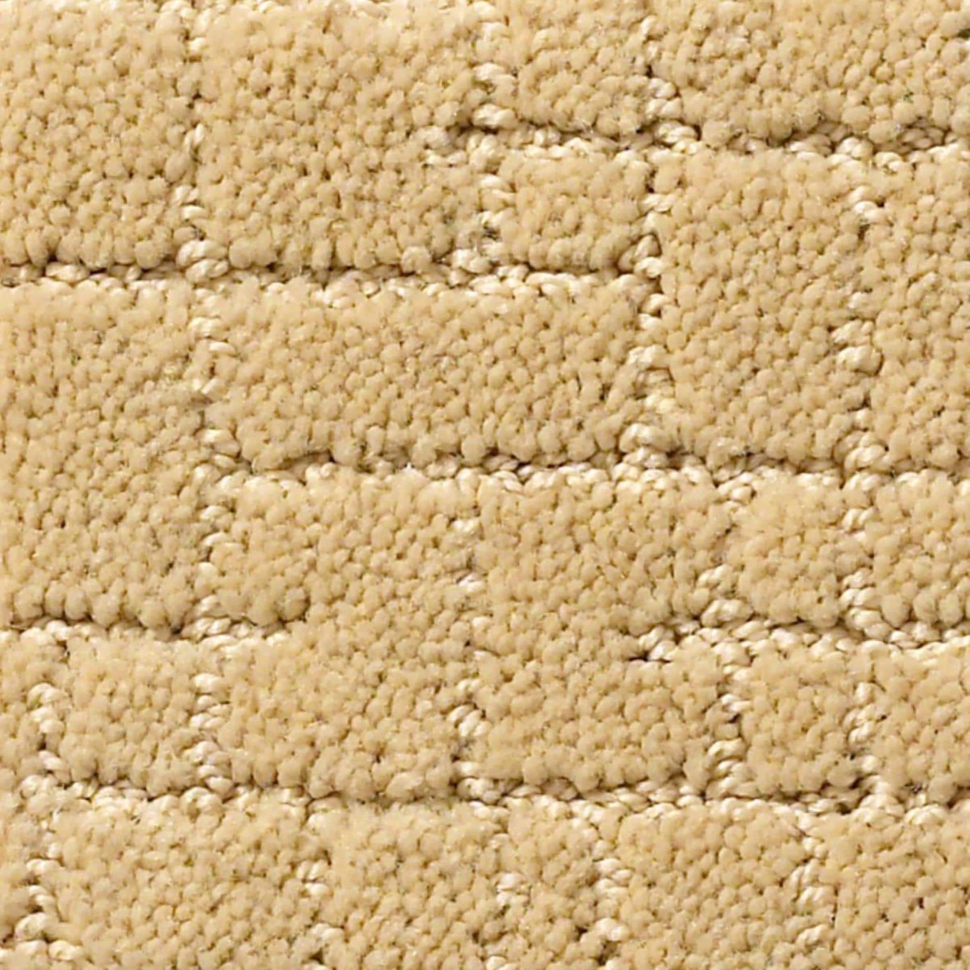 Anderson Tuftex New Tricks Carpet in Hazelnut