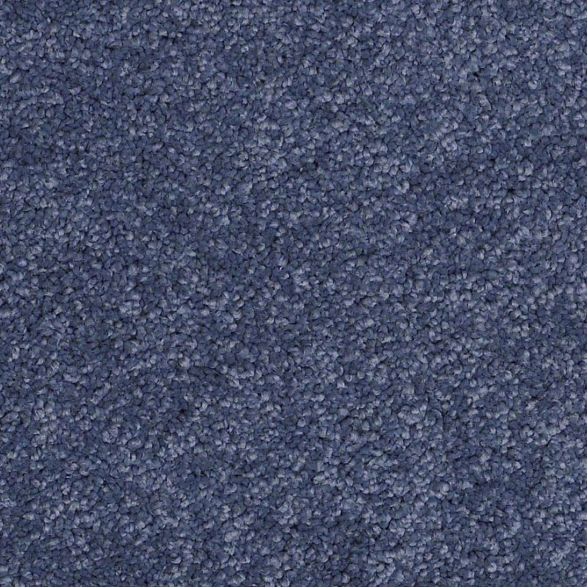 Anderson Tuftex Barracan Classic III Carpet in True Blue, image size:2000x2000