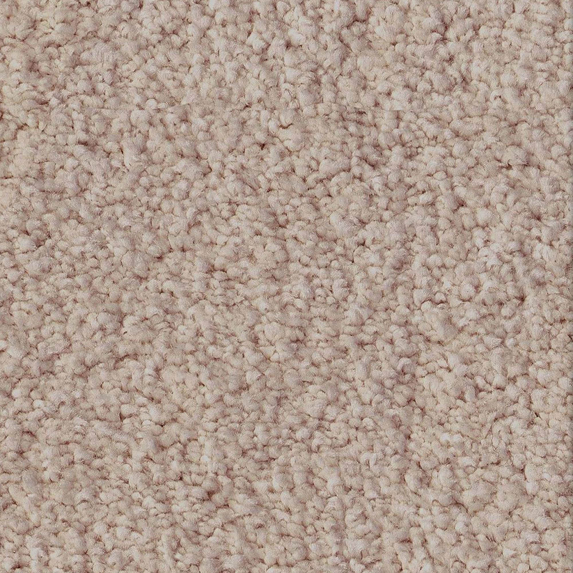 Anderson Tuftex Luxe Feel II Carpet in White Pine